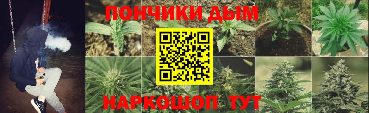 Марихуана THC 21% Славгород